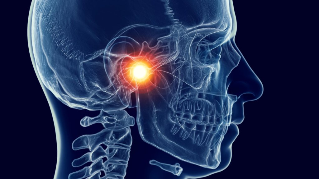 understanding tmj